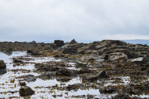 泪水与荣光！亚洲电竞俱乐部榜，他们是如何做到的！